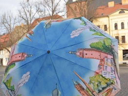 Das Foto zeigt einen Regen-Schirm mit Motiven aus der Stadt Delitzsch.