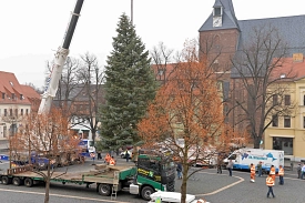 Weihnachtsbaum © C. Maurer/Stadt Delitzsch